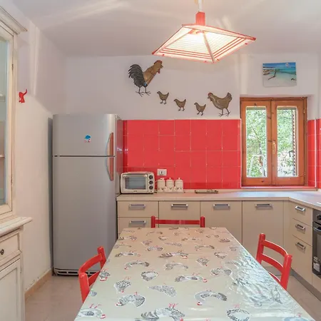 Apartment Quadrilocale Vico Trento San Teodoro (Sardinia)